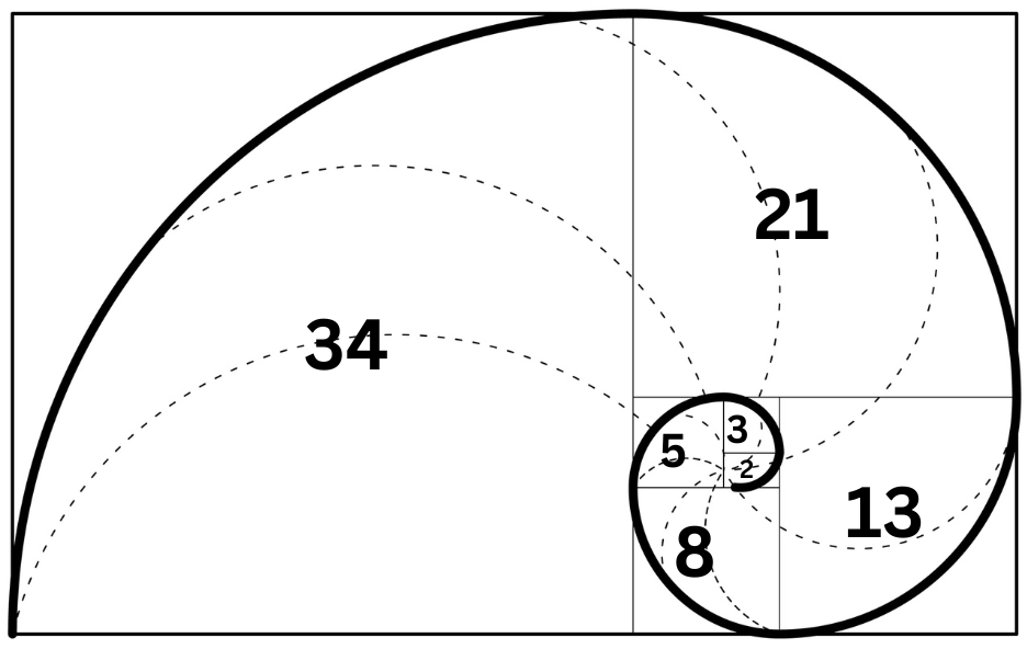 Illustration of the Fibonacci Pattern built from the Fibanacci sequence