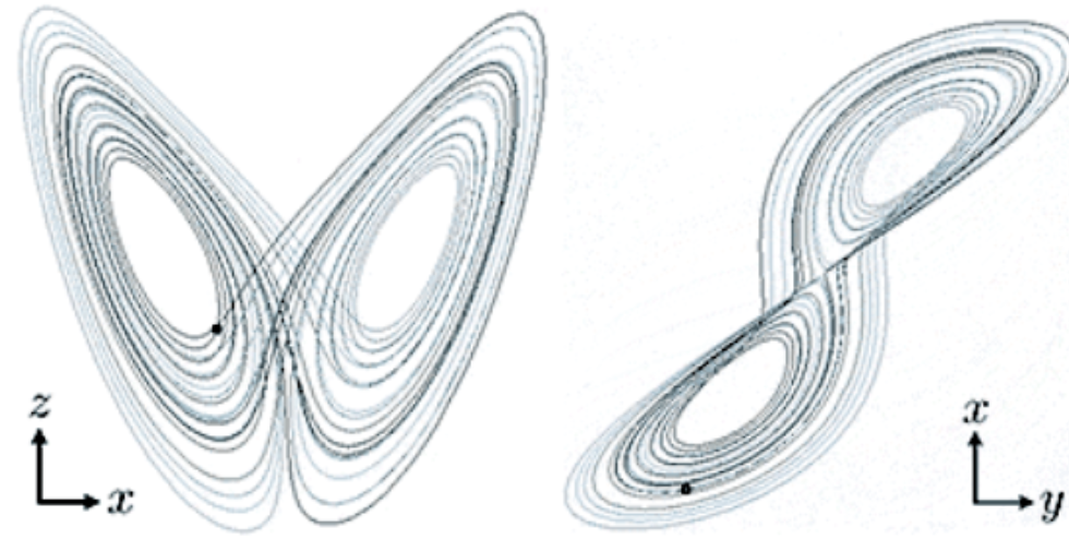 The patterns of chaos from the Malkus Waterwheel