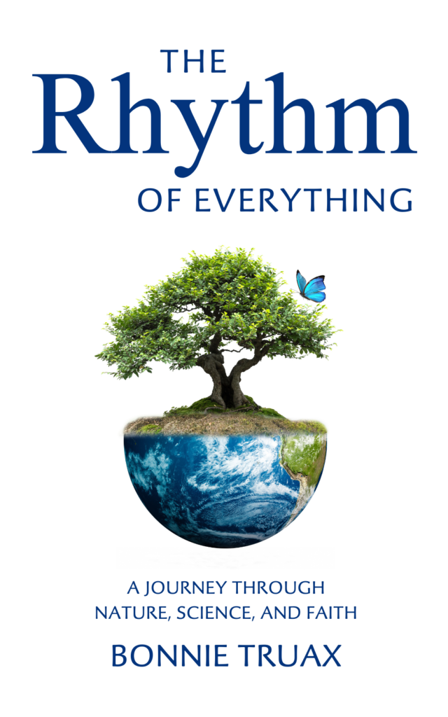 Book Cover: The Rhythm of Everything